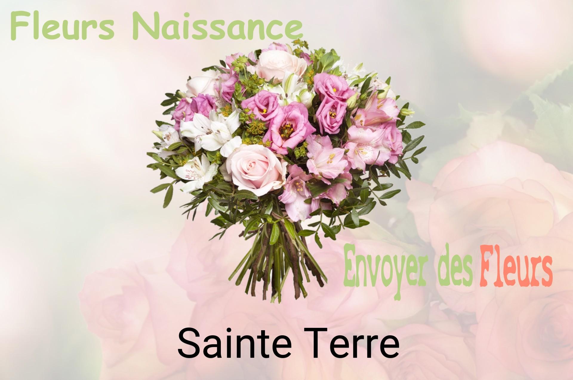 Bouquet de fleurs de naissance livré à Sainte-Terre
